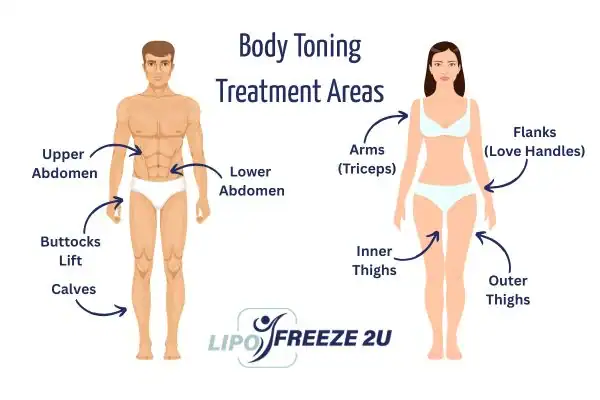 Graphic showing where you can have Body toning Treatment Eastcote on your body